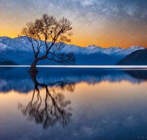 Cape Tranquillity