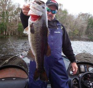 Hook Line and Sinker Bass Fishing