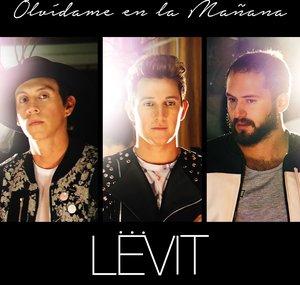 LEVIT