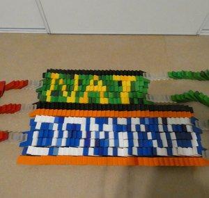 Nat Domino