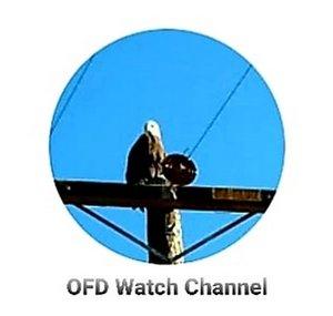 OFD Watch Reviews 