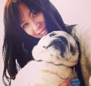 Pug Mom Akemi