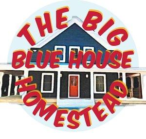 The Big Blue House Homestead