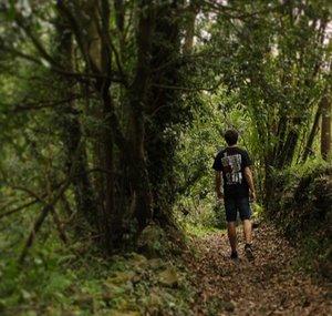 Vida Salvaje Supervivencia