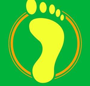 Walks Of Life