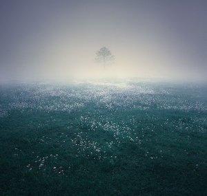 AnotherHorizon
