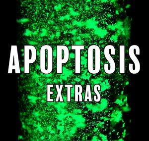 Apoptosis Extras