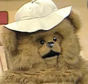 Bungle The Wonderful