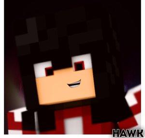 HawkGameplays