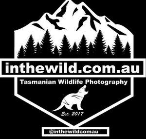 inthewild.com.au