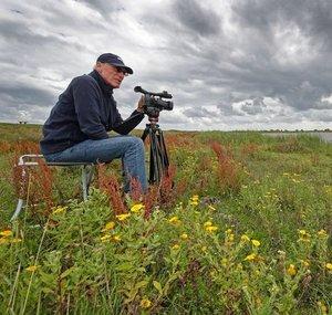 Nature & Wildlife Voorne Putten