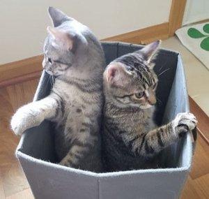 Winnie & Gary