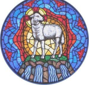 Adoring Jesus