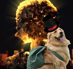 El sujeto de las curiosidades