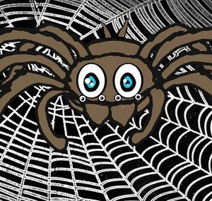 JENNO'S TARANTULAS