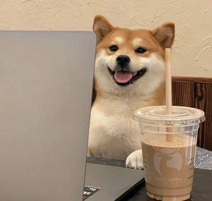 shibanumberonefan11