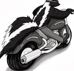 Skunk Darkstone