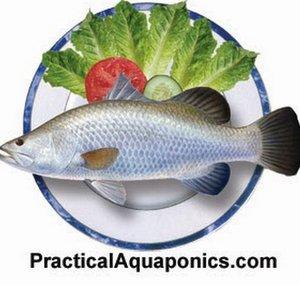 Murray Hallam's Practical Aquaponics.
