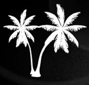 Palmstaden Innebandy