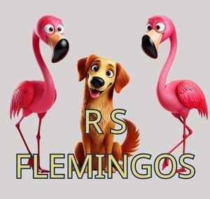 RS Flemingos