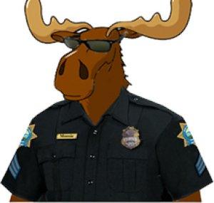 SafetyMoose