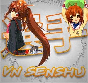 VN Senshu