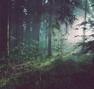 Chill and Vibe Music
