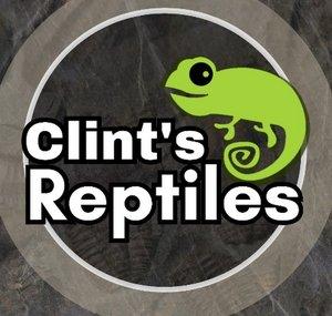 Clint's Reptiles