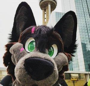 CrossTheWolf