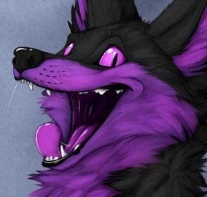 Dys Fox