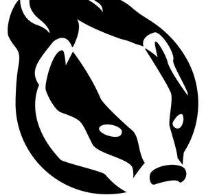 Flashing Badger Painting