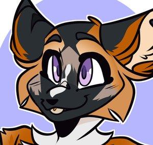 Foxy