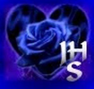 HaraldPetry53