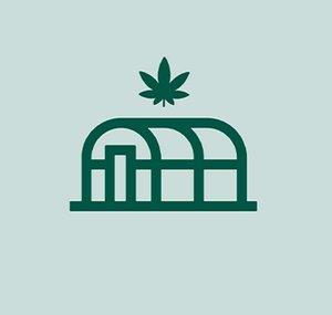 Homegrown Cannabis Co. Garden