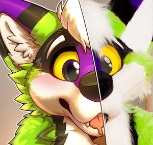 Rafa Greenfur