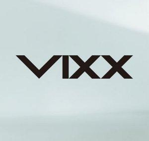 RealVIXX