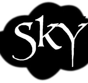 skyteamdm