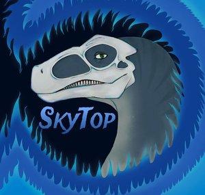 SkyTop GAMES