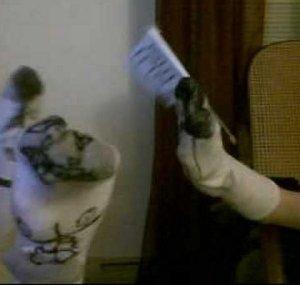 theiratesock
