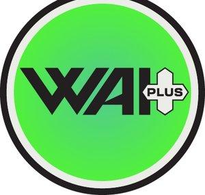 WAI Plus