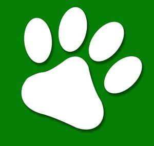 We Love Animals