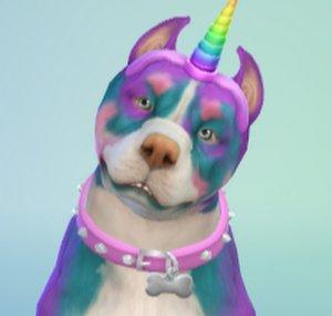 Erin Plays Sims