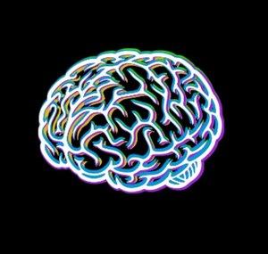 Fuzz Brain