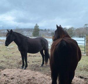 Heart Lake Ranch