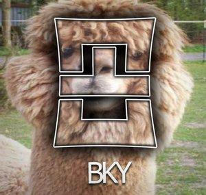 OATH Bkay