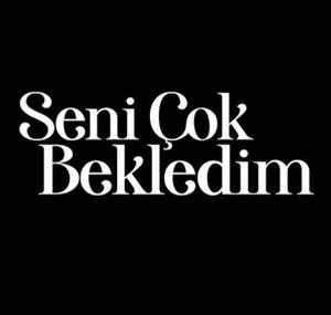 Seni Çok Bekledim