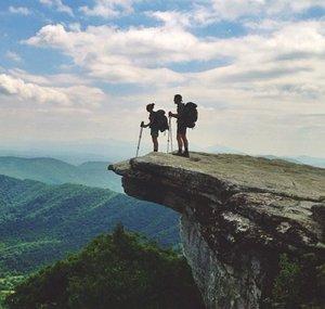 The Wild Outsiders