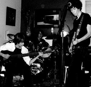 TheBlackTrees