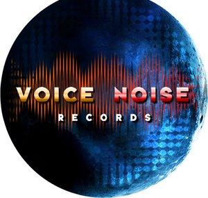 Voice Noise Records