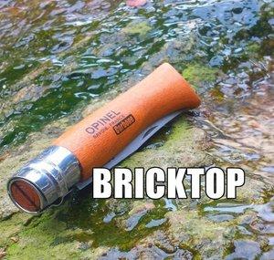 BRICKTOP